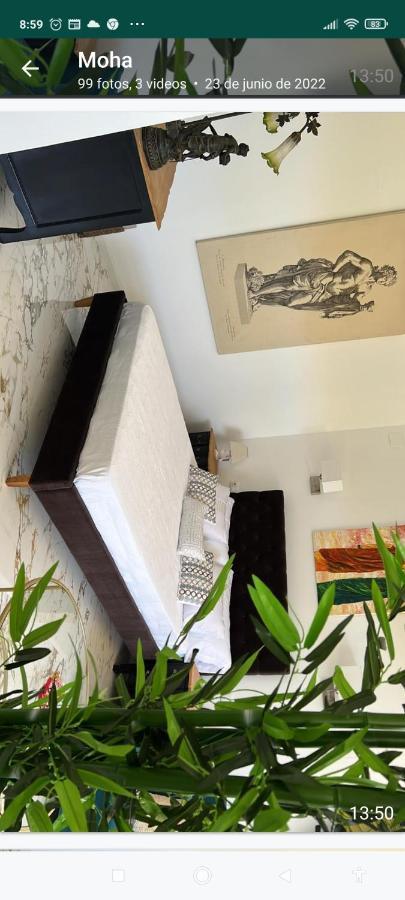 Suites 5* Lahcene Alicante Bagian luar foto