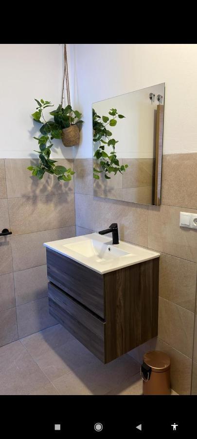 Suites 5* Lahcene Alicante Bagian luar foto